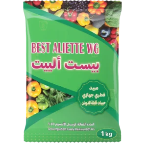 بيست الييت